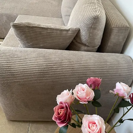 Jasmin Et Camomille בית נופש Roquebrun